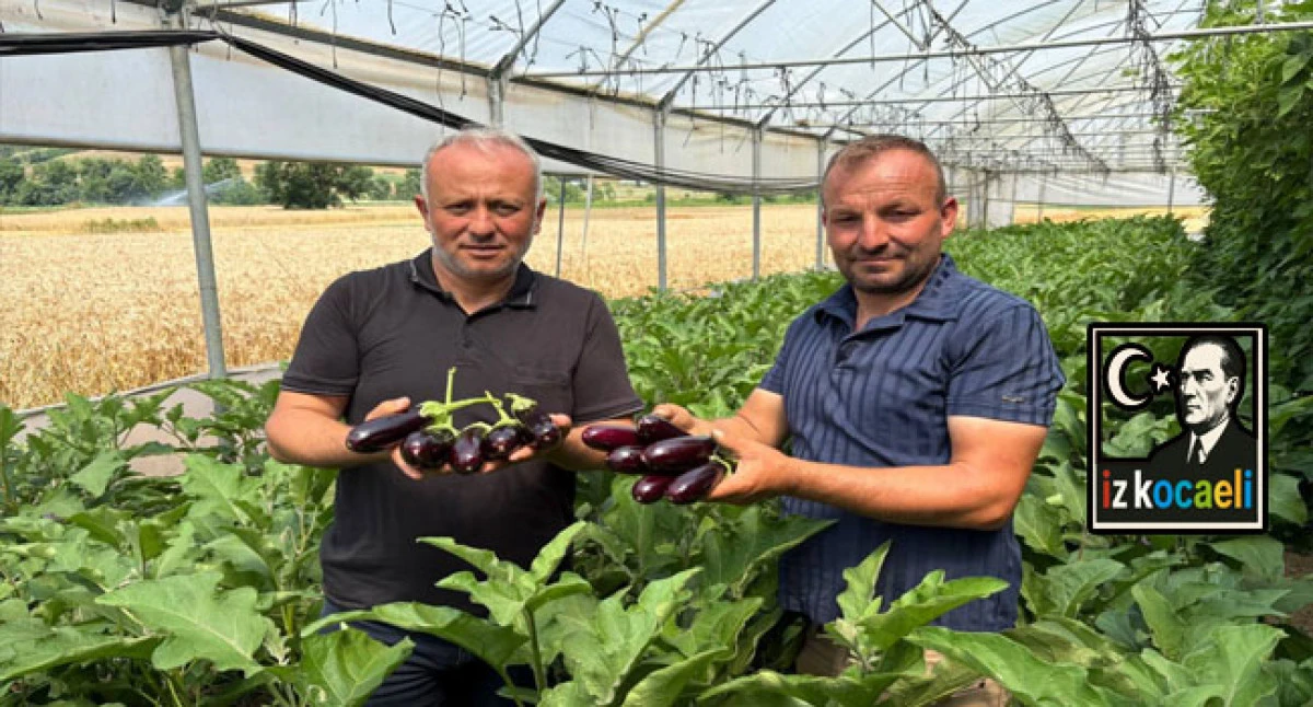 B&uuml;y&uuml;kşehir&rsquo;in sera desteği &uuml;retime g&uuml;&ccedil; kattı