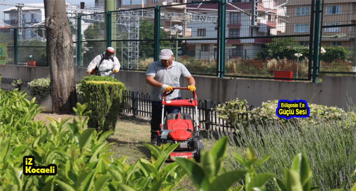 Darıca bayrama hazır