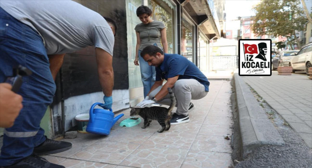 Darıca Belediyesi’nden Can Dostlarımıza Mama ve Su Desteği