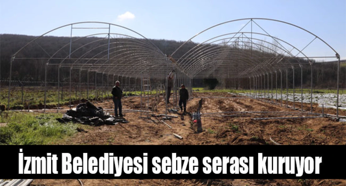 İzmit Belediyesi sebze serası kuruyor