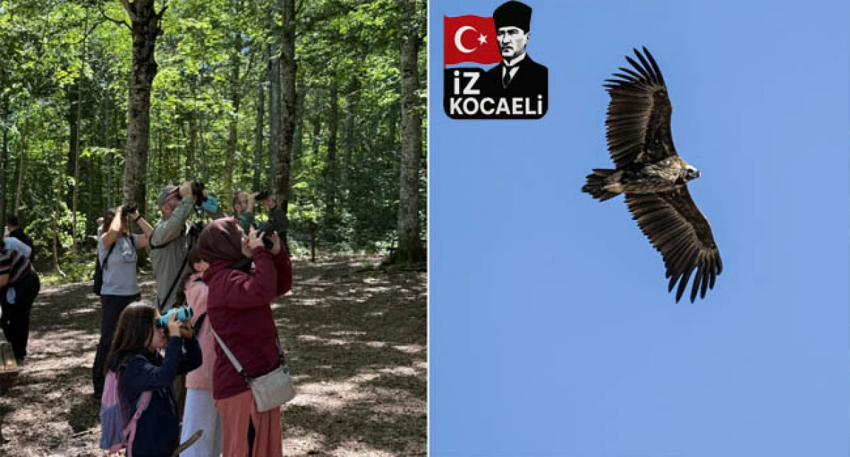 Kara Akbaba Kuzuyayla&rsquo;da g&ouml;r&uuml;nt&uuml;lendi