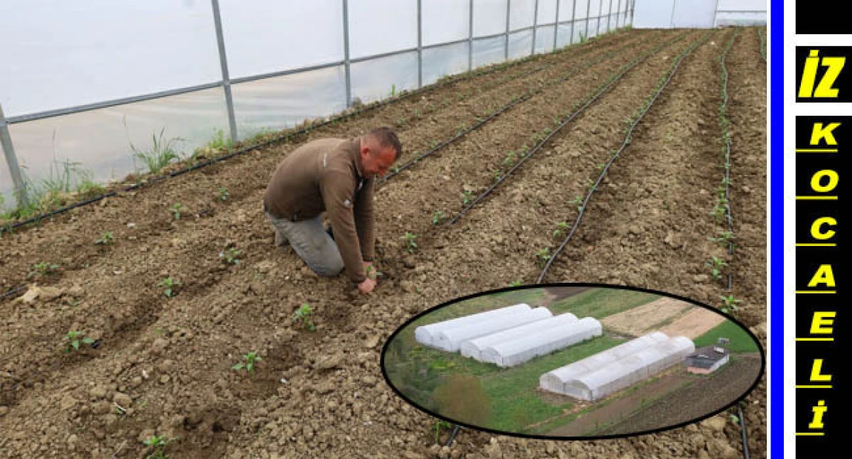 Kocaeli’nde tarım büyüyor, seracılık gelişiyor