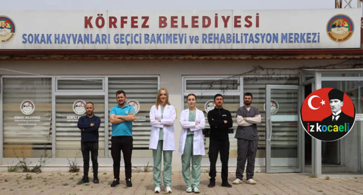 K&ouml;rfez&rsquo;de &lsquo;Kral&rsquo; hayata tutundu