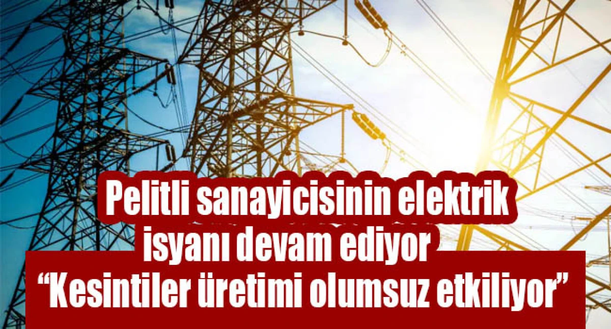 Pelitli sanayicisinin elektrik isyanı devam ediyor: &ldquo;Kesintiler &uuml;retimi olumsuz etkiliyor&rdquo;